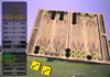 Xing Backgammon