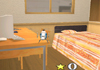 R/C Helicopter indoor Flight Sim