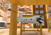 R/C Helicopter indoor Flight Sim
