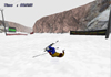 Downhill Slalom