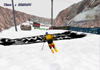 Downhill Slalom