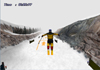 Downhill Slalom