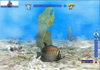 Scuba