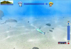 Scuba