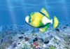 Scuba